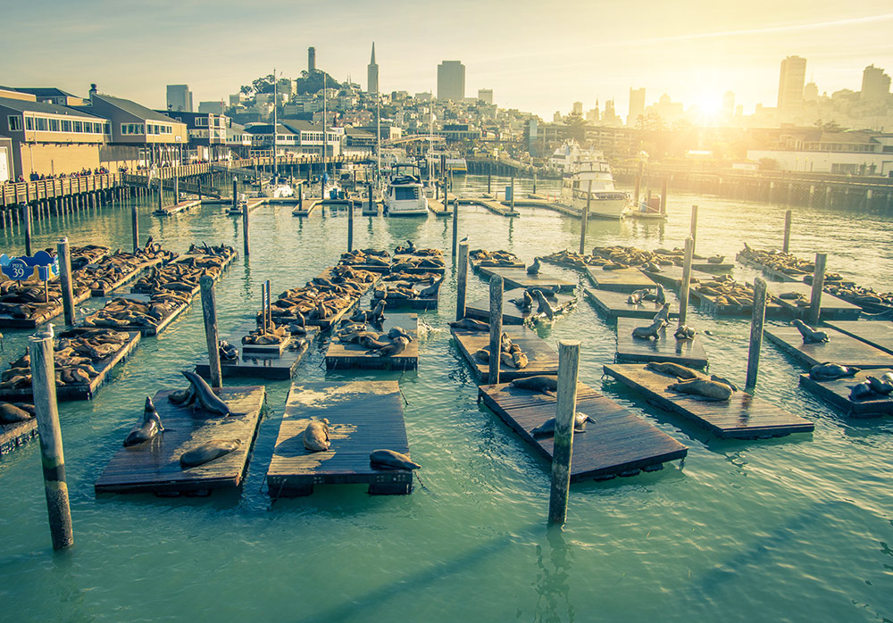 San Francisco Pier 39